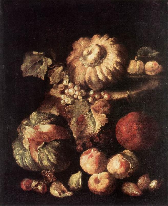 RUOPPOLO, Giovanni Battista Fruit Still-Life dg